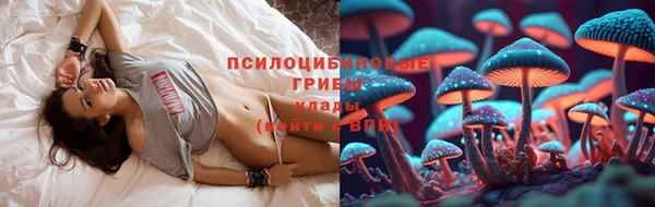 PSILOCYBIN Горняк