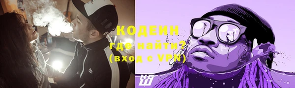 PSILOCYBIN Горняк