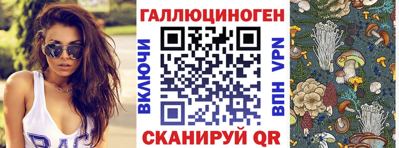 MEGA ссылка  Ивдель  Псилоцибиновые грибы Psilocybe 